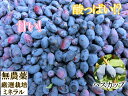 【完熟収穫】自然栽培・自然農法　冷凍ハスカップ(1kg)　数種類ミックス！　天然ミネラル使用　無農薬栽培　農薬不使用　動物性堆肥不使用