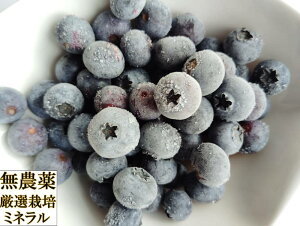 yR_pAŐHׂ₷zR͔|ER_@@Ⓚu[x[(2kg×2)@_͔|@_sgp@sgp@I[KjbN