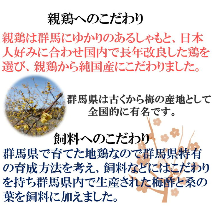 240円 交換無料! とりそぼろ 上州地鶏そぼろふりかけ50g ふりかけ ごはんのお供 国産 鶏そぼろ ピリ辛 送料無料 メール便 240円 交換無料! とりそぼろ 上州地鶏そぼろふりかけ50g ふりかけ ごはんのお供 国産 鶏そぼろ ピリ辛 送料無料 メール便