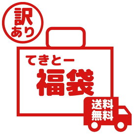 【まもなく終了!!店内全品20％OFF＆P4倍★25日23:59迄】福袋2024 お試し 訳あり おつまみ「てきとー福袋」在庫処分 数量限定 送料無料 珍味 おやつ ジャーキー チーズ 海鮮 肉