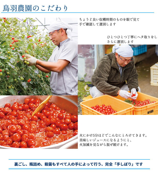 楽天市場 トマトジュース 7ml 北海道 南富良野町 鳥羽農園 ミニトマト 箱入り 手しぼり 1個分のトマトを凝縮 濃厚 味わい深い リコピン ビタミン 抗酸化力 とまと プチトマト なまらモグぱっく なまらモグぱっく