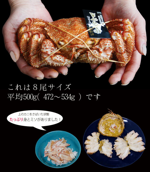 楽天市場】毛ガニ 8尾サイズ 平均500g (472〜534g) 浜ゆで 冷凍でのお  