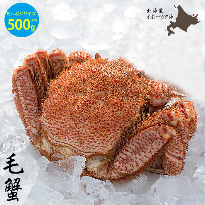 楽天市場】毛ガニ 8尾サイズ 平均500g (472〜534g) 浜ゆで 冷凍でのお  