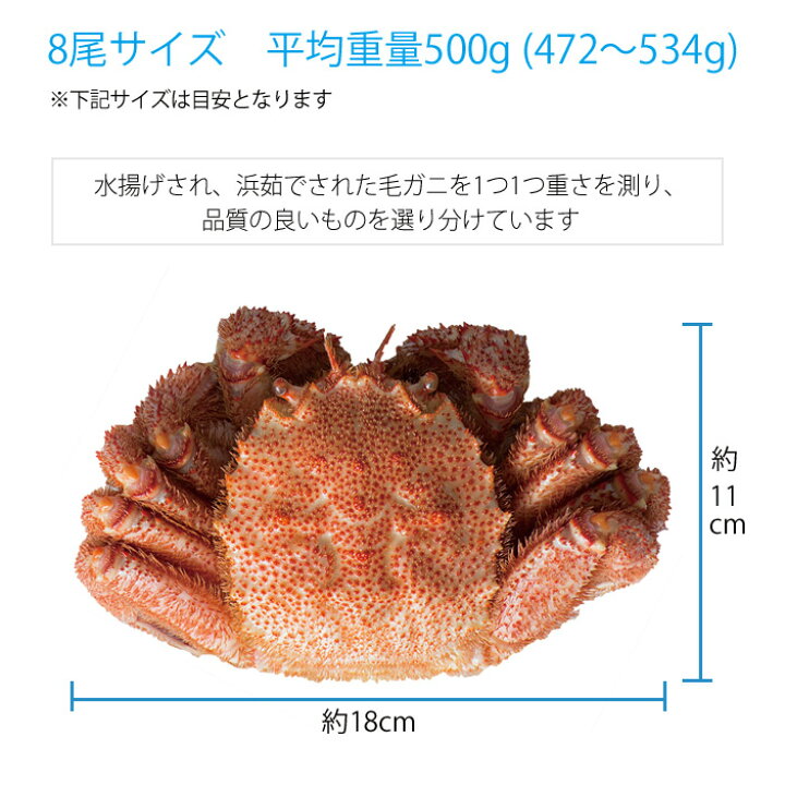 楽天市場】毛ガニ 8尾サイズ 平均500g (472〜534g) 浜ゆで 冷凍でのお  