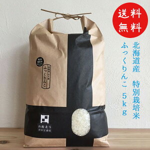 ߘa7NY V kC ӂ ʍ͔| 5kg JAL @H  kls YҌ ̔X Y ӂ Lȍ Â H  Ȃ܂烂Oς