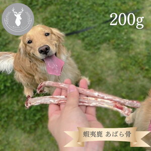 kCY nڈΎ ΂獜 200g p Lp WrGybgt[h Y _CGbg ^ ^ v[g     H~s