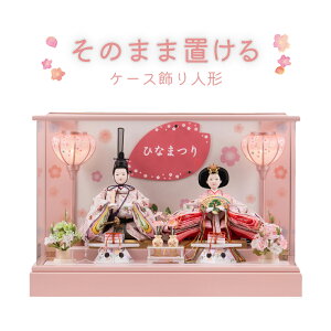 ЂȐl` eP[X {{sN y3g001z l` RpNg P[X ȒP y  킢 sN