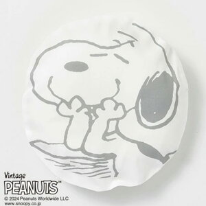  h[ic (21×21cm)Xk[s[ Jo[t(0`3p)yWH53400600zybsOszPEANUTS { obOt oY xr[܂  OK