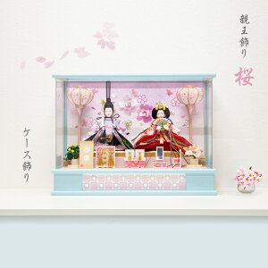 l` e  S07301 P[X Cgu[ RpNg P[X ȒP y  ЂȐl` ЂȍՂ Ղ  Ђȏ j v[g COyY ̐ߋ ߋ 