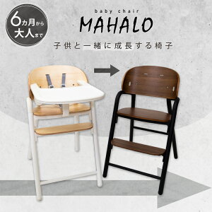 xr[`FA ؐ nC`FA i` Sxg }n MAHALO LbY xr[ Ԃ q e[u  h~ sv _CjO`FA xr[nC`FAybsO