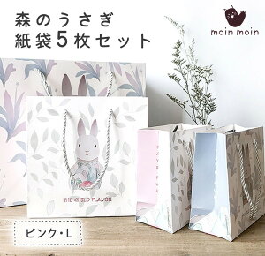 ŒZoׁ bsO MtgobO 񂰑  5 (X̂ Cgu[ 20×20×}`8cm)