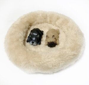 yP10{!!zŒZoׁ tBMA u I[ig }Olbg   ӂӂ xbht hbO A {  (Ԃ t`uhbO(tH[ & uh) 2