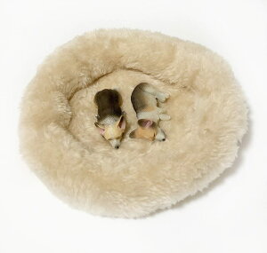 ŒZoׁ tBMA u I[ig }Olbg   ӂӂ xbht hbO A {  (₷ R[M[iZ[uj 2C)