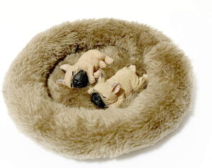 yP10{!!zŒZoׁ tBMA u I[ig }Olbg   ӂӂ xbht hbO A {  (₷t`uhbO(tH[) 2C)