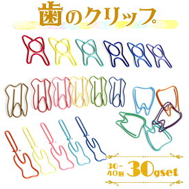 【P10倍&2点以上350円OFF】 歯 クリップ 30g ( 30 ～40個 ) セット 歯牙 モチーフ しおり ゼムクリップ 可愛い アソート カラフル ケース入 大容量 歯医者 歯科 キバ