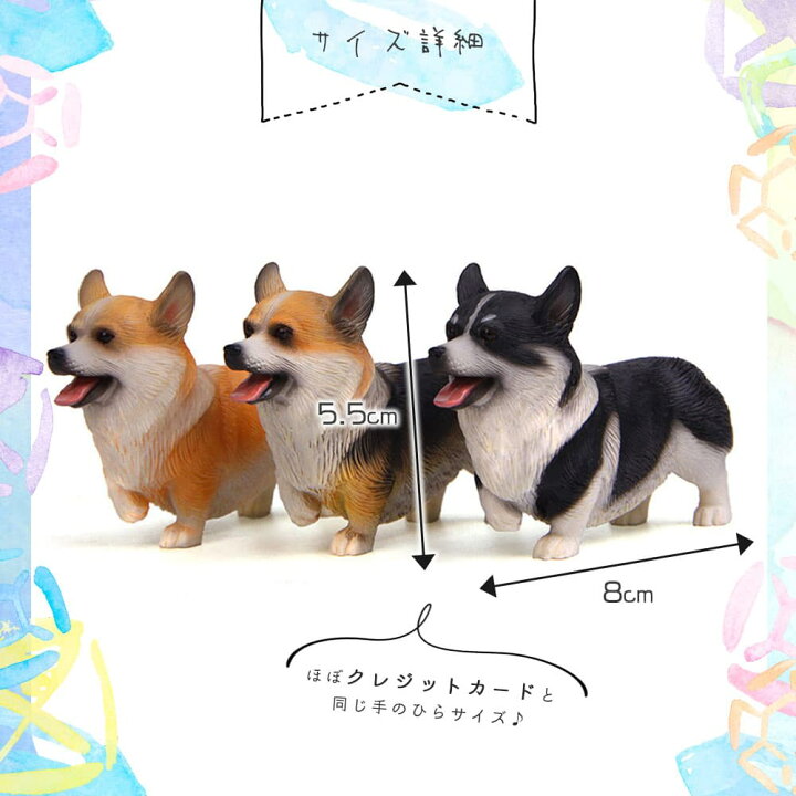 色々な リボンマグネット コーギー ３ アニマル 動物 犬グッズ Shipsctc Org