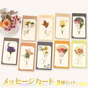 メッセージカード 花 型 グリーティングカードの人気商品 通販 価格比較 価格 Com