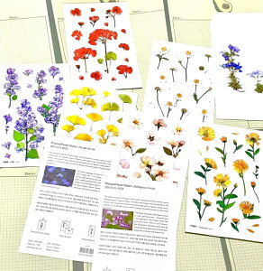 最短当日出荷◆シール 押し花 クリア 透明 ランダム 5枚セット/花 フラワー もみじ イチョウ 草 クローバー 勿忘草 ラベンダー すみれ さくら ミモザ など