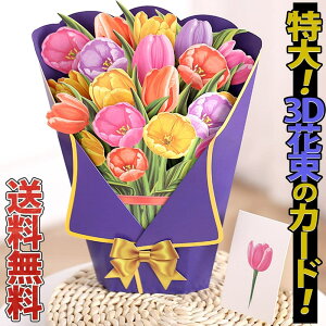 ŒZoׁMtg O[eBO  +~jbZ[WJ[h t/̌͂Ȃ ԑ  3D A CpNg rbO 傫 ꂢ j Mtg `[bv