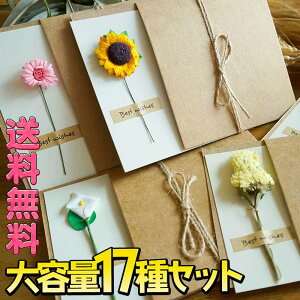 yP10{!!zŒZoׁbZ[W J[h+ Jo[+V[+R+ 17Zbg/莆 ^[ ̓ t[  O[eBO/MTCY 17×12cm/Ђ܂ KN uE J[l[V JX