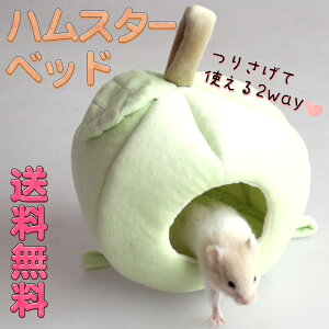 yP10{!!zŒZoׁnX^[  X  nEX  ybg  |  S O[ ӂӂ  g h H~ | ~t ې  艺 2way/12×13×12cm