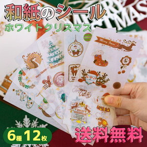 ŒZoׁV[ NX}X XebJ[ 12Zbg 炫 a  c[ T^ x [X zCg bhv[g/XPW[ 蒠 Ao fR 莆 J_[ J