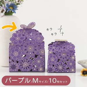 yP10{!!zŒZoׁbsO Mtg t[ [X hJ { i  傤 َq⏬ 10Zbg  (p[v MTCY 9x6x13.5cm)