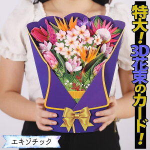 ŒZoׁMtg O[eBO  +~jbZ[WJ[h t/̌͂Ȃ ԑ  3D A CpNg rbO 傫 ꂢ j Mtg GL]`bN Ɋy SN