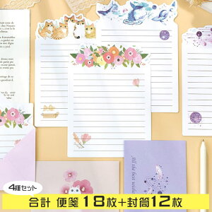 ŒZoׁ^[Zbg  莆 L  CJ F  6+ 3×4 oGeBZbg/t[  G CXg     ˂  Aj} p[v v[ s