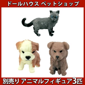 yP10{!!zŒZoׁtBMA u I[ig Aj}  L 3CZbg/1/24 XP[  ybg 킢  ˂