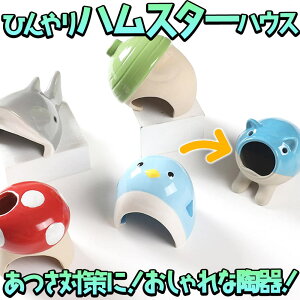 yP5{!!zŒZoׁnX^[   nEX xbh  Ђ@  ΍  p  Aj}  T O[