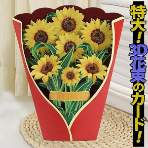 yP10{!!zŒZoׁbZ[W O[fBO J[h  +~jJ[h t/̌͂Ȃ ԑ u[P Ђ܂  CG[  傤  3D A CpNg rbO 