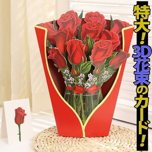 ŒZoׁbZ[W O[fBO J[h  +~jJ[h t/̌͂Ȃ ԑ u[P Ђ܂  CG[  傤  3D A CpNg rbO 傫 