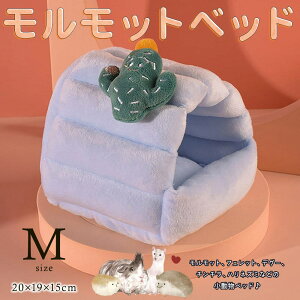 ŒZoׁnX^[ CR X bg tFbg fO[ `` ybg  nEX xbh   B Q NbV  ӂӂ  g h H~ N