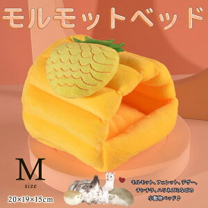 ŒZoׁnX^[ CR X bg tFbg fO[ `` ybg  nEX xbh   B Q NbV  ӂӂ  g h H~ N