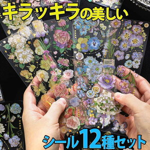 yP10{!!zŒZoׁV[ XebJ[ ԑ  { 12Zbg/t[  炫    `[bv J[l[V pW[/CG[ [Y sN u[ p[