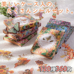 yP10{!!zŒZoׁV[ XebJ[ t[N {bNX tFA[ t[ 120 360 ʃZbg (8Zbg 1ɂ15×3 45)/b G{  NA 莆 g 