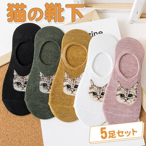 yP5{!!zŒZoׁC \bNX L 5 A\[gZbg Ԃ V[g Xj[J[ |Cg tFCX 킢  ubN I[u uE zCg sN ʋC