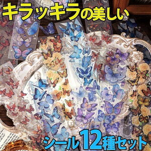 ŒZoׁV[ XebJ[zO  CXg 傤 12Zbg/t[  炫   zI  t@V[ g NVJ  CG[ [Y sN 