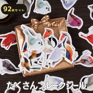 yP10{!!zŒZoׁV[ t[N 92 A\[gZbg   tB` ܂܂  CXg/^[ ق J XPW[ 蒠 莆 fR[V ubN zCg