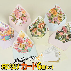 ŒZoׁ^ |bvAbv J[h+~j bZ[WJ[h+ 6Zbg 炫 яo 3D Aj}  `[t O[eBO  a o[Xf[   