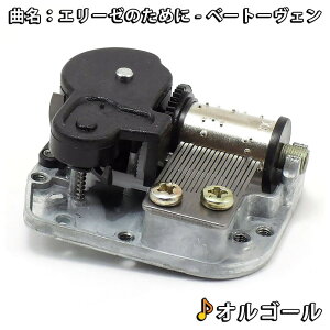 yP5{!!zŒZoׁh[nEX p IS[ ̂ (G[[̂߂)/pbwx̃Jm ヂ_ f[ CeA ȓK