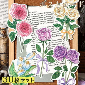 yP10{!!zŒZoׁ|XgJ[h bZ[WJ[h  t[  ԑ CXg Aj} _CJbg 30Zbg { `[bv o S sN CG[ u[ p[v/