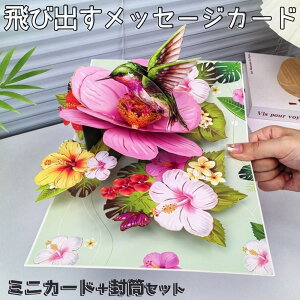 yP10{!!zŒZoׁbZ[W J[h O[fBOJ[h |bvAbv nCrXJX  ( ~jJ[h+Zbg) ԑ n`h 炫   t[ 썑  яo