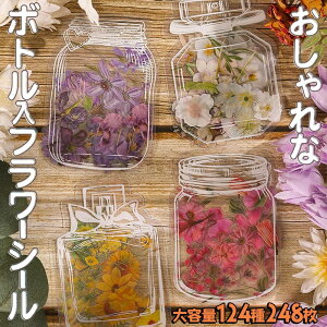 yP10{!!zŒZoׁV[ t[N {g  124 248 ʃZbg   NA  Ԃт  A ԕr t[ x[X  CXg R[W f fR[V 