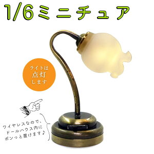 ŒZoׁ~j`A 1/6 1:6 XP[ {ɓdC X^hv Cg CX/h[nEX h[̉Ƌ XY  ݂  xbhTCh iCgv