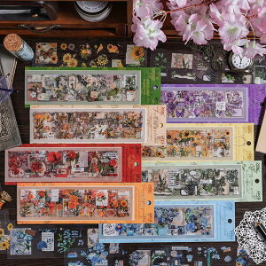 yP5{!!zŒZoׁV[ XebJ[  48 V[g ʃZbg NA  t[ A  CXg g AeB[N  q} J[l[V o n[g    s