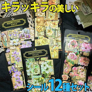 ŒZoׁV[ p g t[ 12Zbg/ 炫   /CG[ [Y C{[ zO 炫 F  傤  O[  ԑ `[b