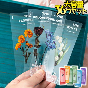 yP10{!!zŒZoׁ ubN}[N 36Zbg   NA h p   t[ /[ S [J ACX |s[ XY o      I