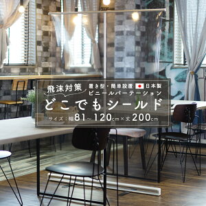 򖗑΍ Ȉ rj[ p[e[VuǂłV[hv81`120×200cmyTT31zm0.3~n PVC ALX rj[ J[e gp [ Ԏd؂ RiV[h a@ JtF HX 